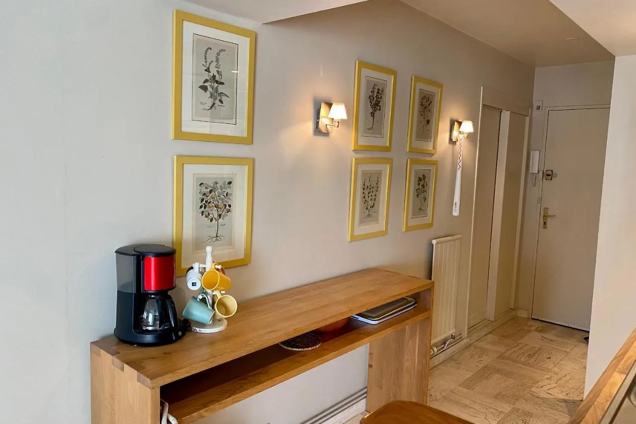 Cannes Palm Beach Top Floor Terrace ! Saint James Apartment