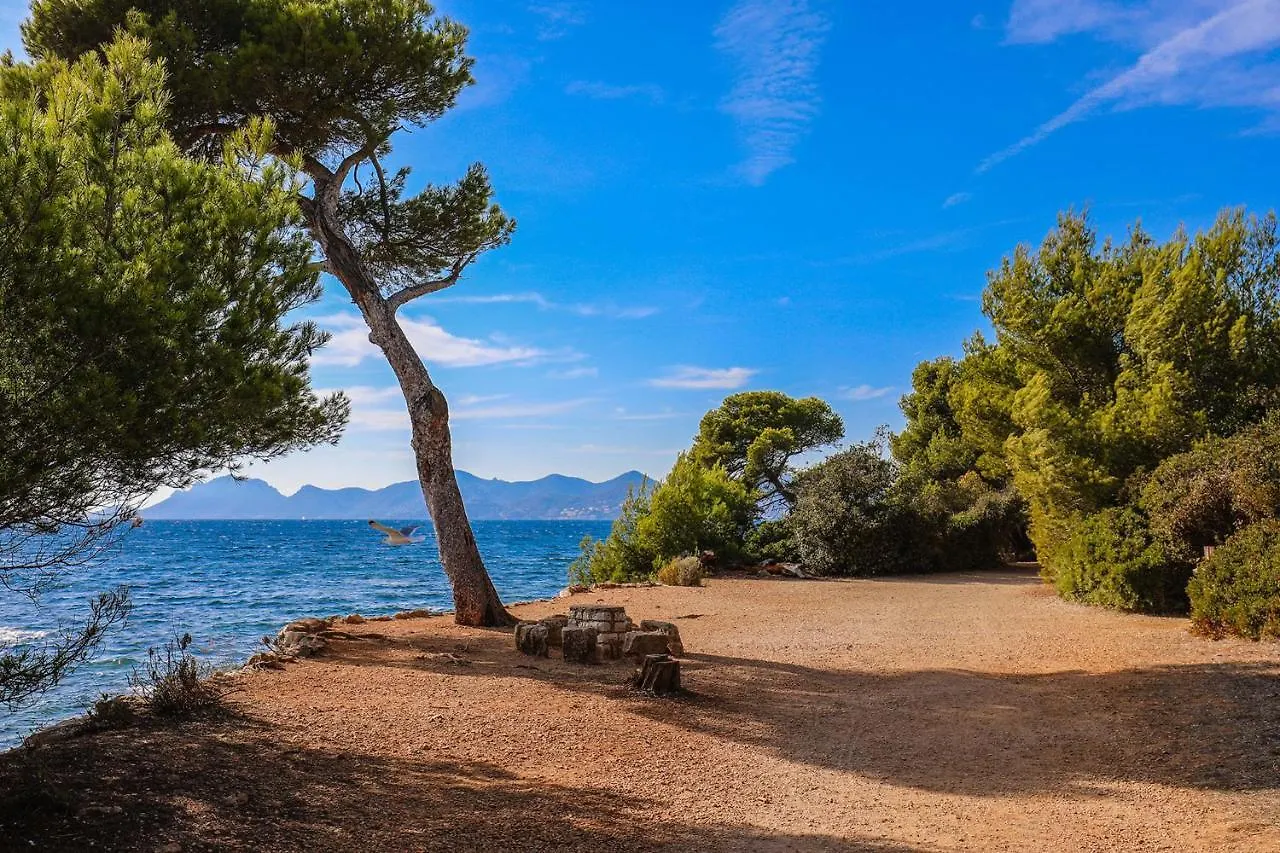 Cannes Palm Beach Top Floor Terrace ! Saint James Apartment